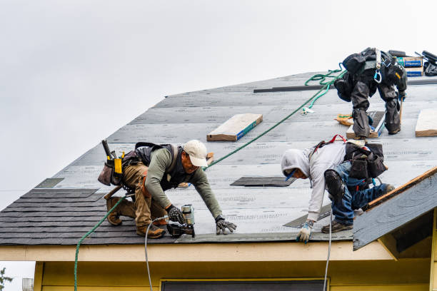 Professional Flat Roof Repair technician working in Rio, IL